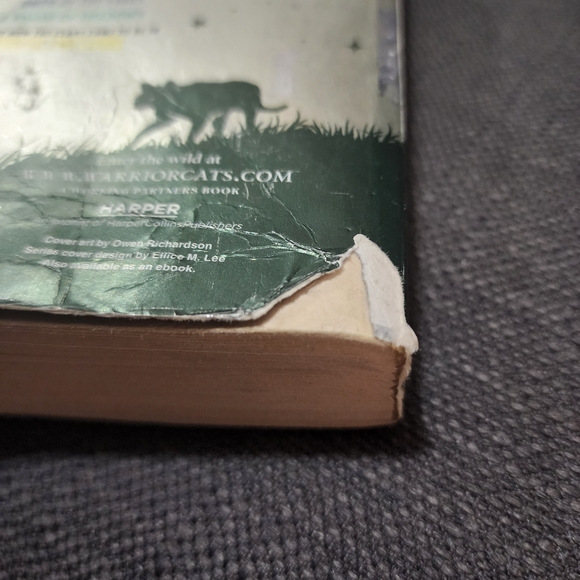 Warriors: Super Edition Tigerheart's Shadow - Picture 3 of 12